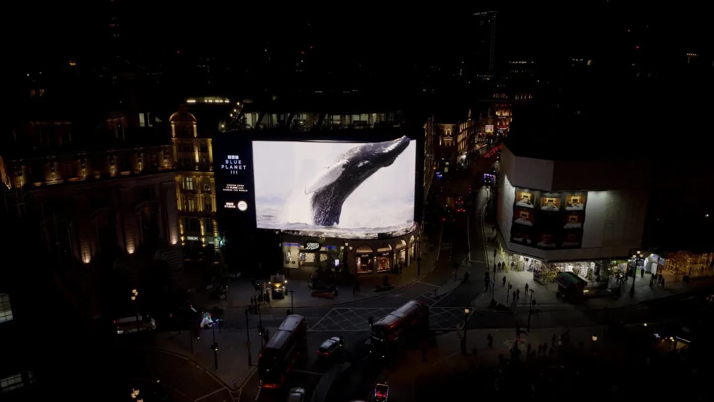 A digital whale jumping off the side of a massive screen in Piccadilly Circus, surrounded by waves of blue light.