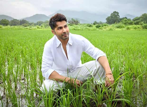 Varun Dhawan standing in a paddy field, holding a bundle of rice, wearing casual farm attire