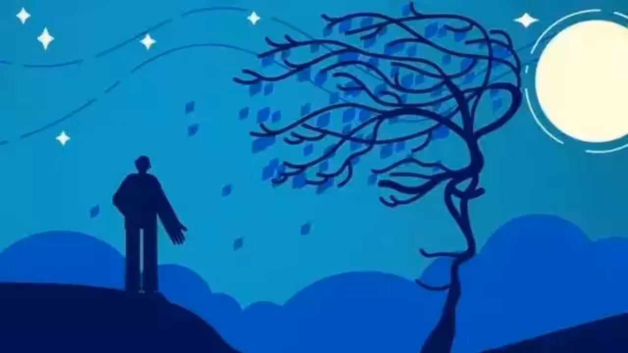 A forest scene optical illusion with a hidden closed-eyed face on one side and a shadowy human silhouette tucked among the trees on the other.