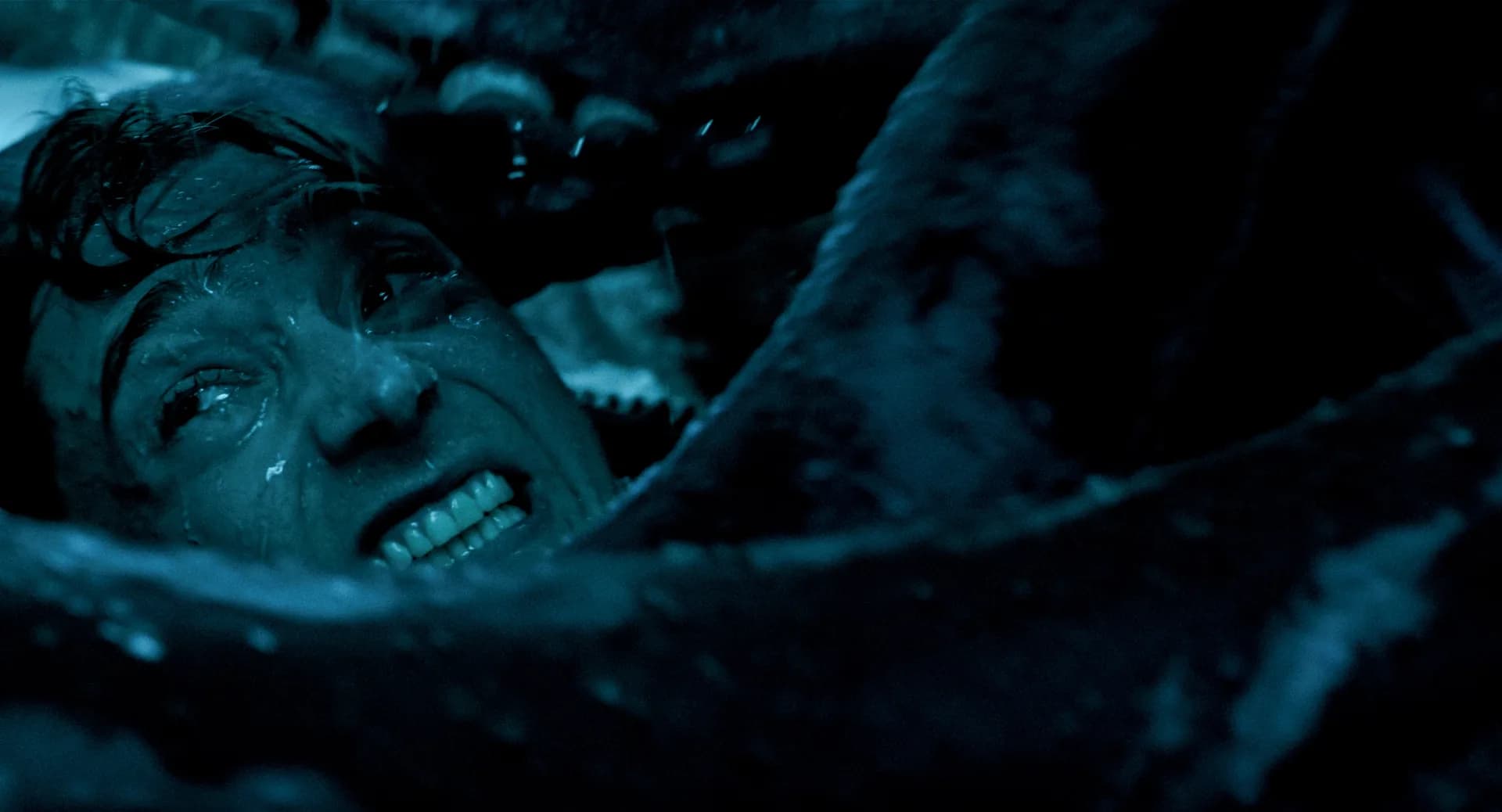 Promotional image for the thriller Whalefall showing a diver near a sperm whale underwater