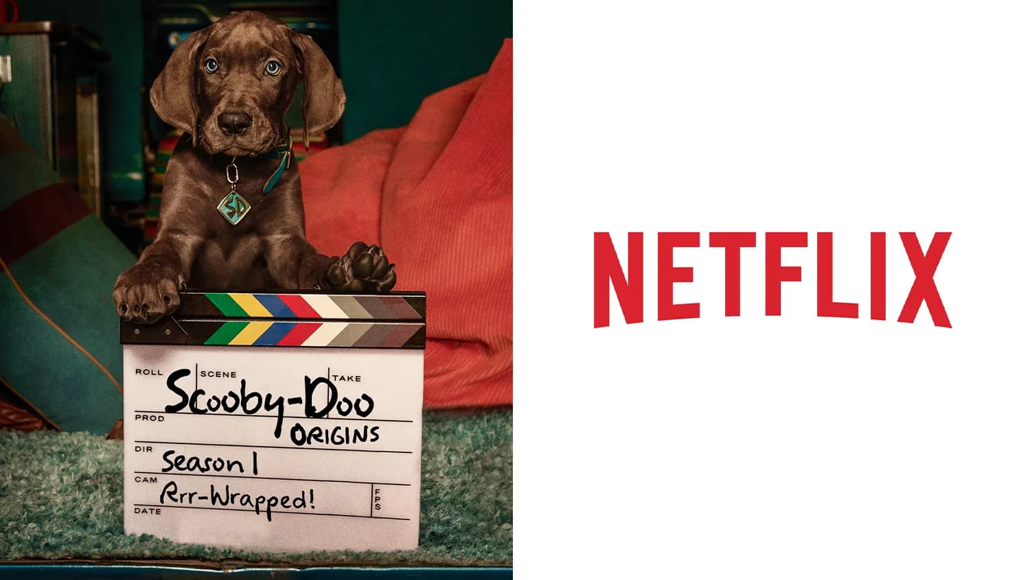 A real Great Dane dog on the set of Netflix's live-action Scooby-Doo: Origins series
