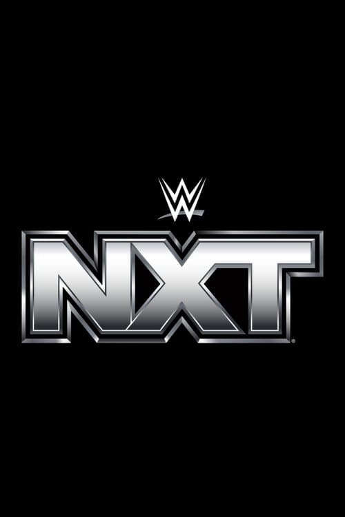 Wwe NXT poster