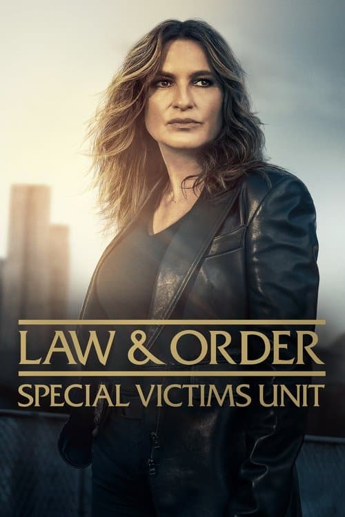 Law & Order: Special Victims Unit poster