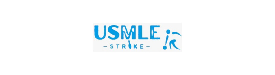 usmlestike