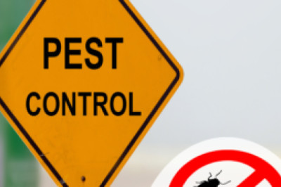 pest control in Jamshedpur