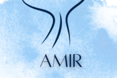 Amir Articles